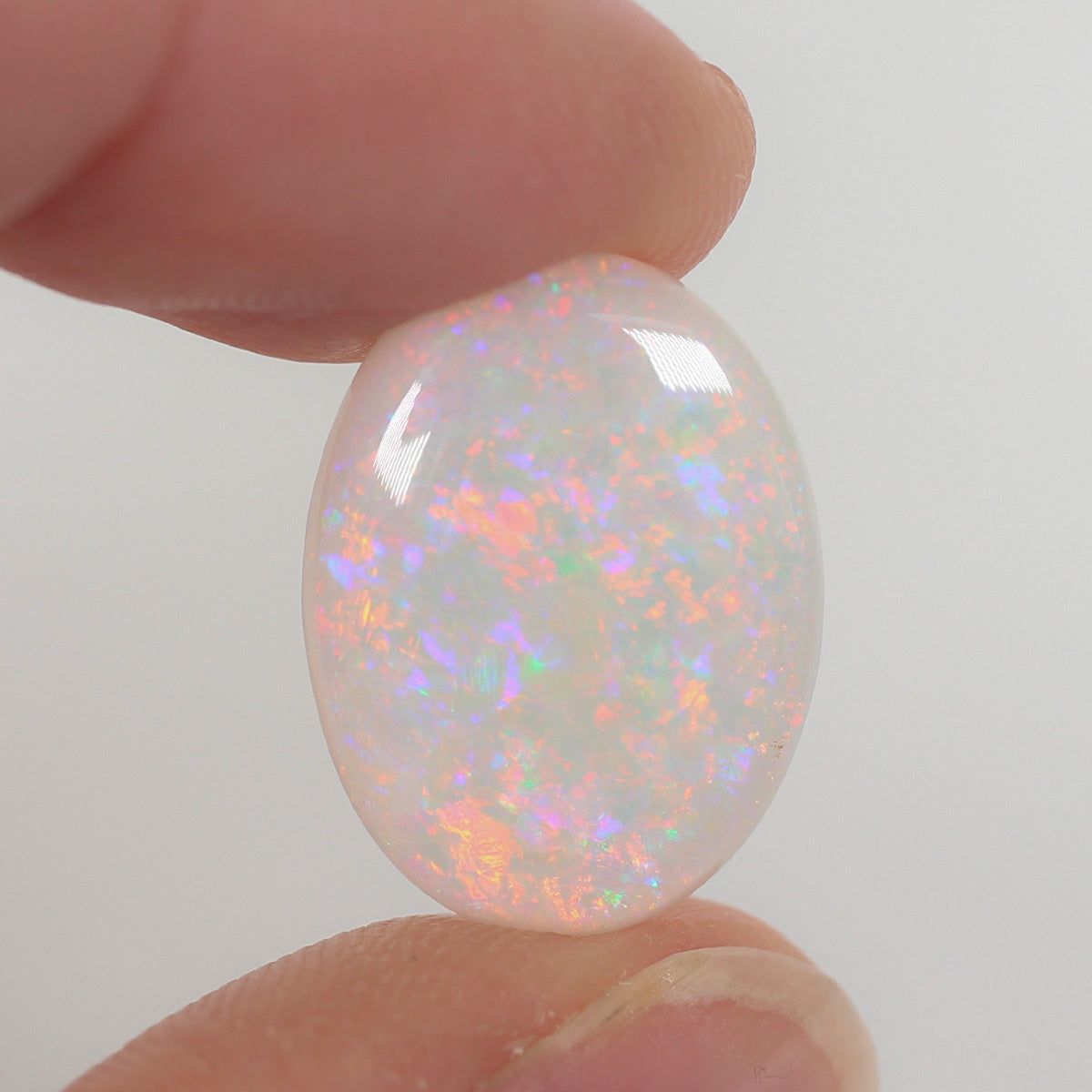 6.65ct Dark Opal - 13 x 18 x 4mm