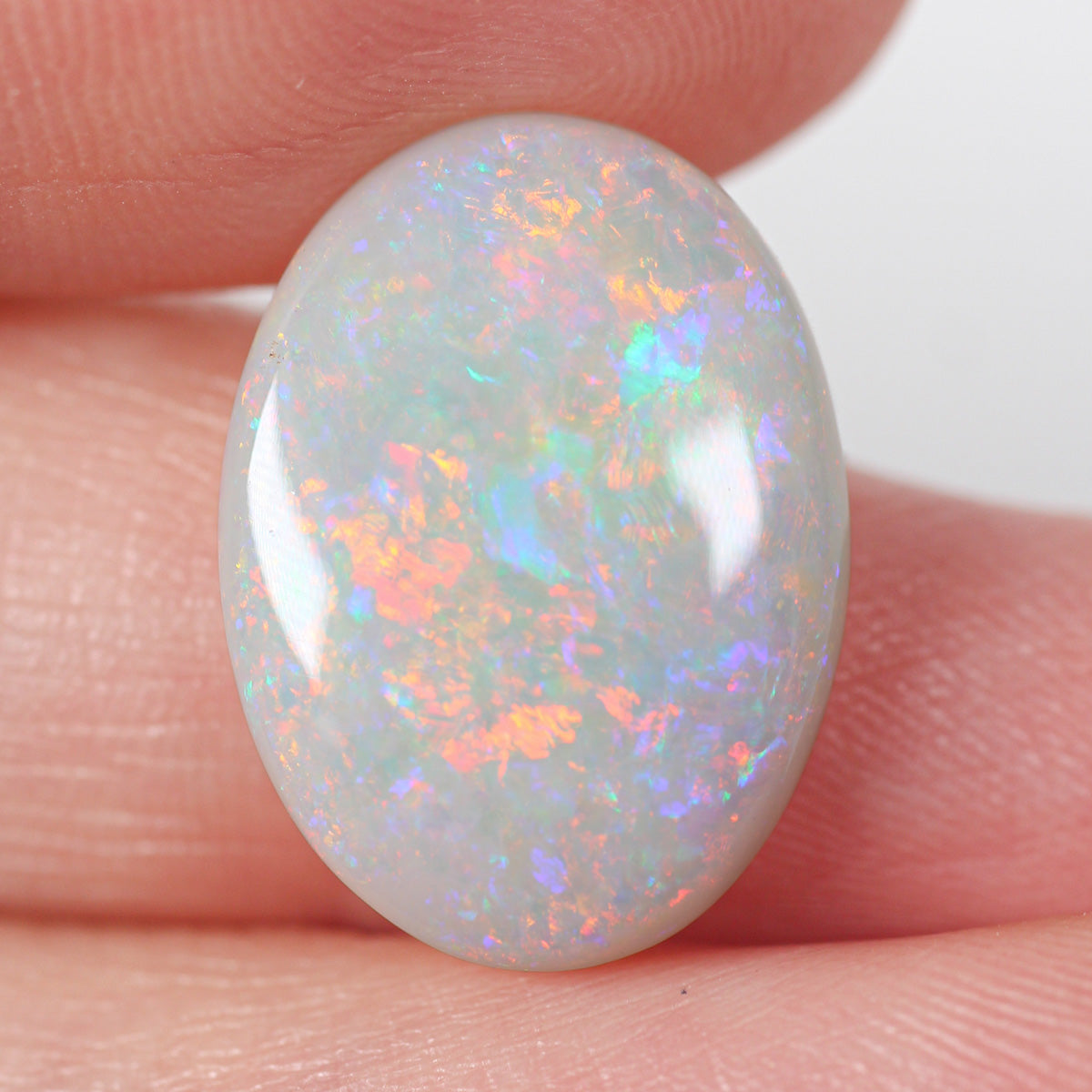 6.65ct Dark Opal - 13 x 18 x 4mm
