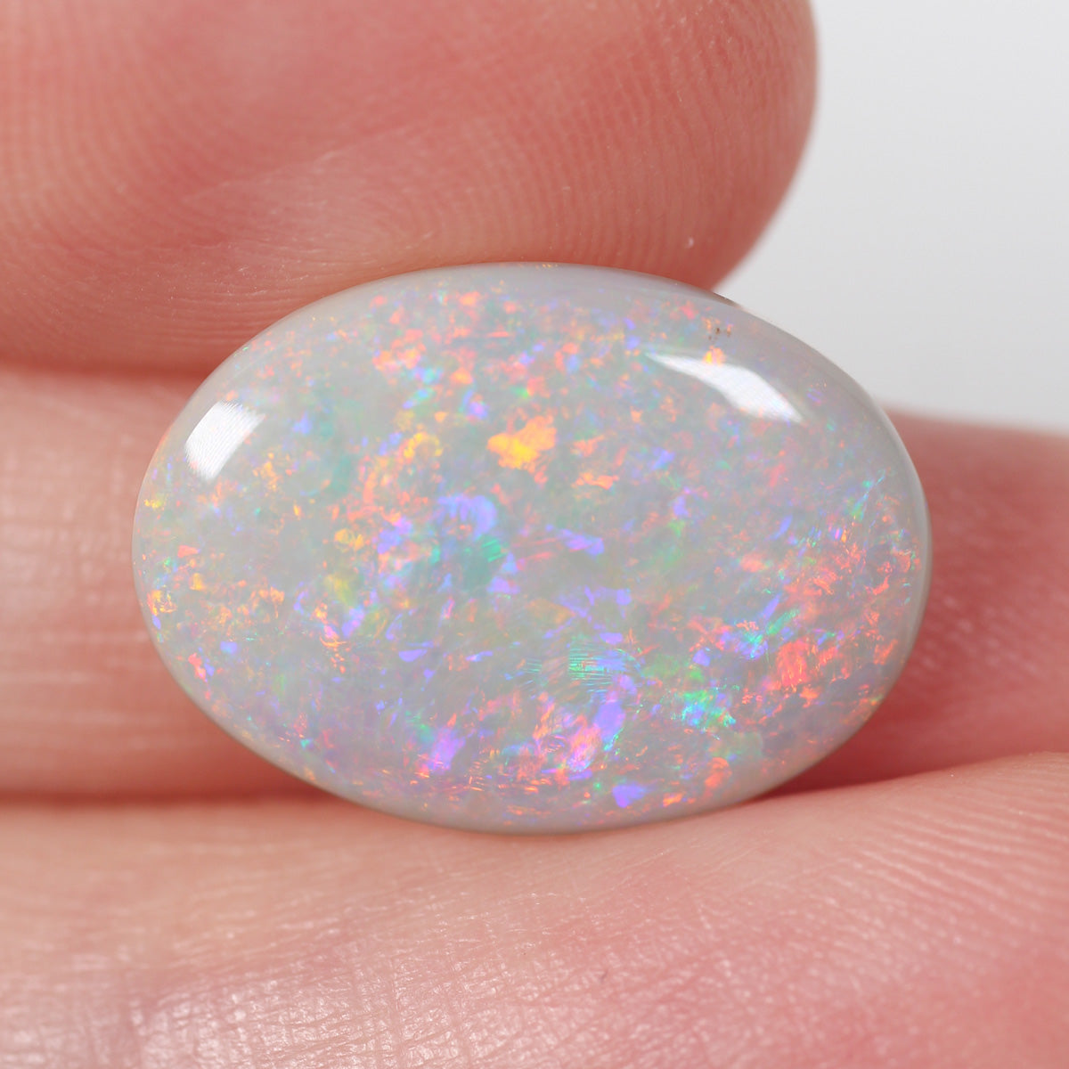 6.65ct Dark Opal - 13 x 18 x 4mm