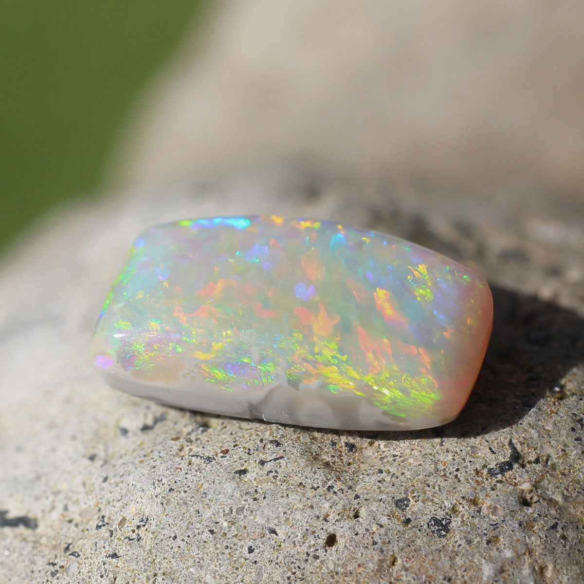 3.4 ct Dark Opal - 8 x 14 x 4mm