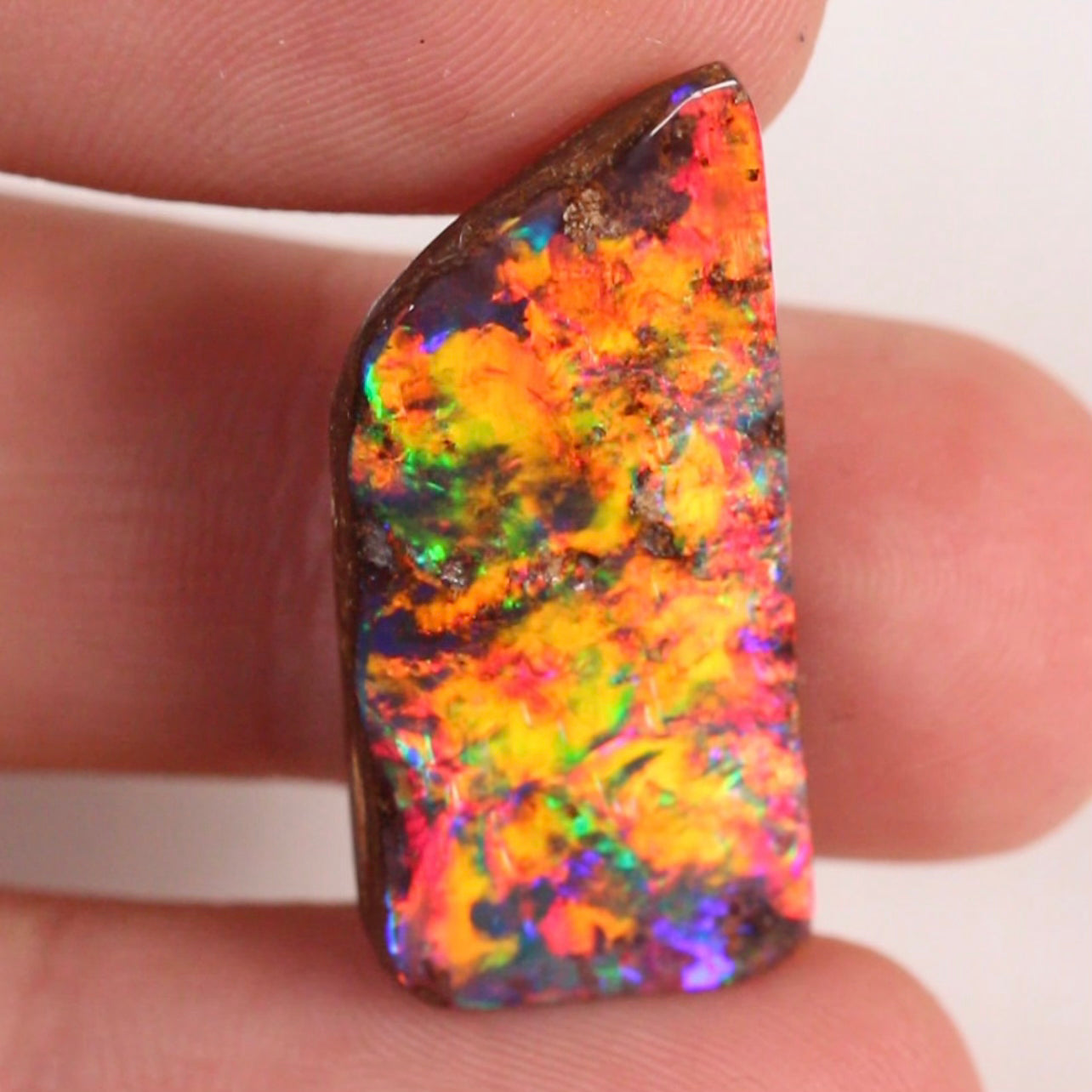 21.10ct Investment Boulder Opal - 14.3 x 30.5 x 5.8mm