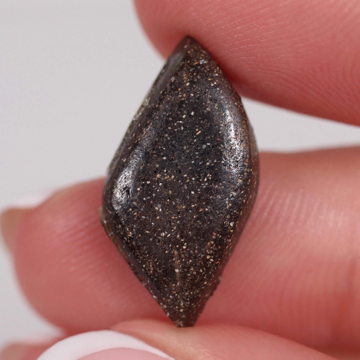 7.16ct Boulder Opal - 20.7 x 10.4 x 4.9m