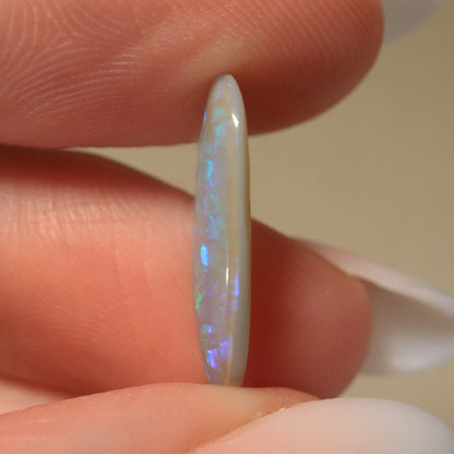 3.00ct Dark Opal - 9 x 19 x 3mm