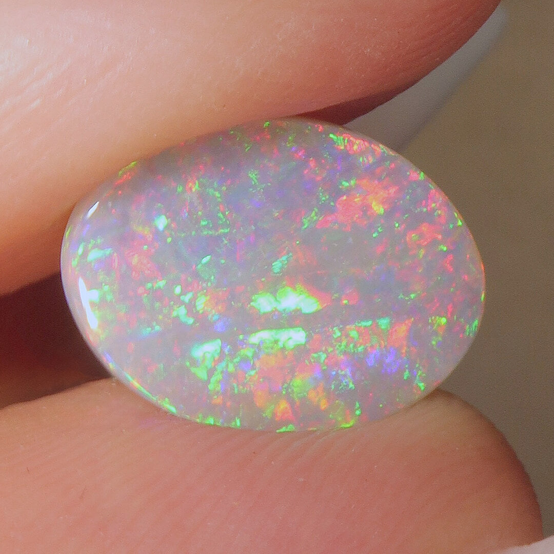 1.70ct Dark Opal - 9.5 x 13 x 2mm