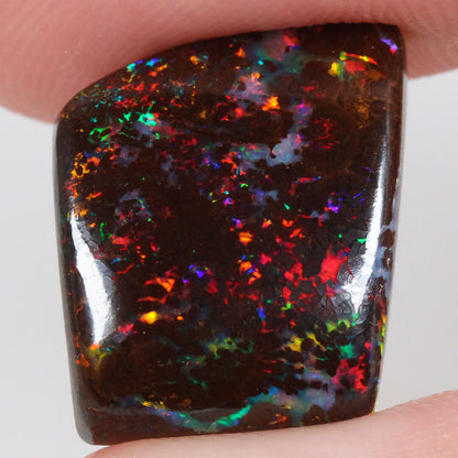 10.95ct Boulder Opal - 14 x 16.5 x 4.5mm