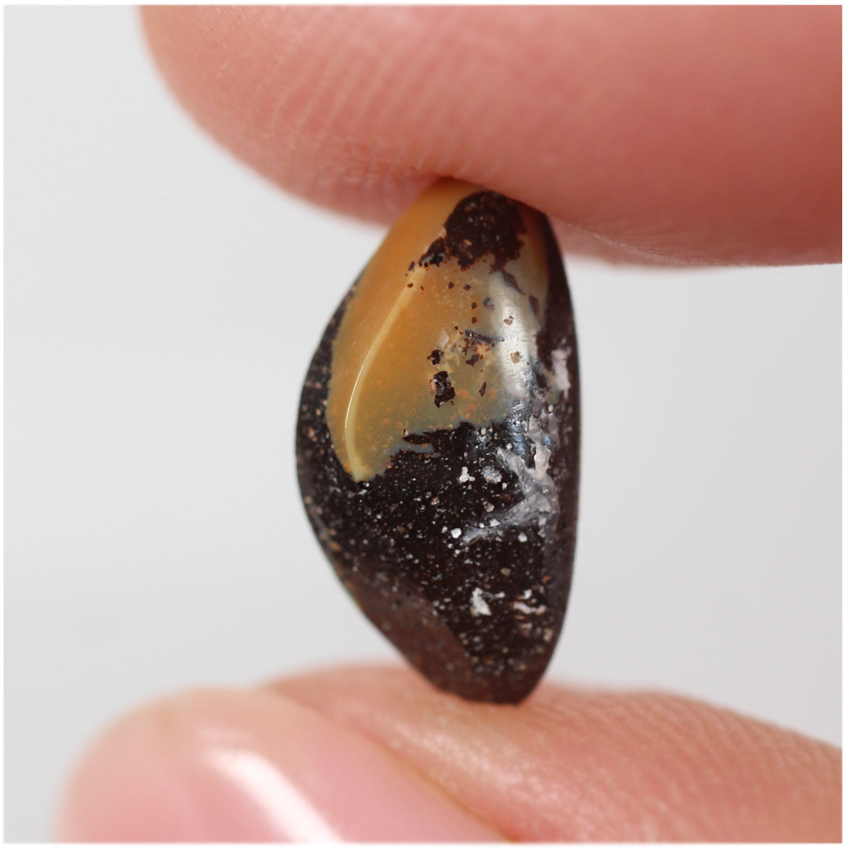 1.70ct Boulder Opal - 6.5 x 12.6 x 3.5mm