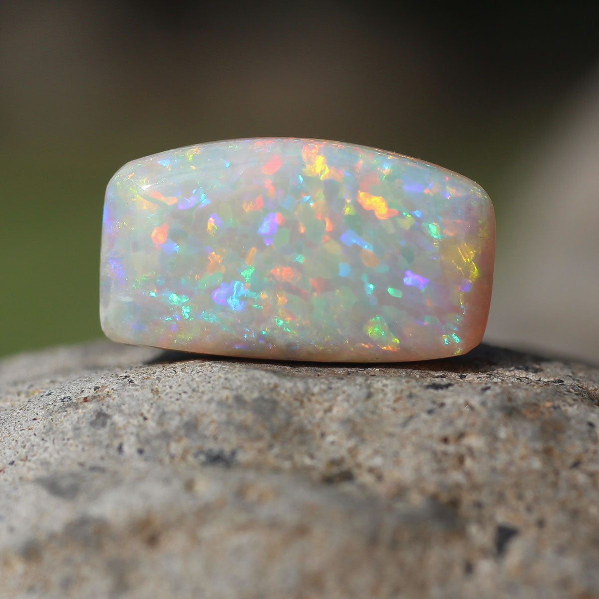 3.4ct Dark Opal - 8 x 14 x 4mm