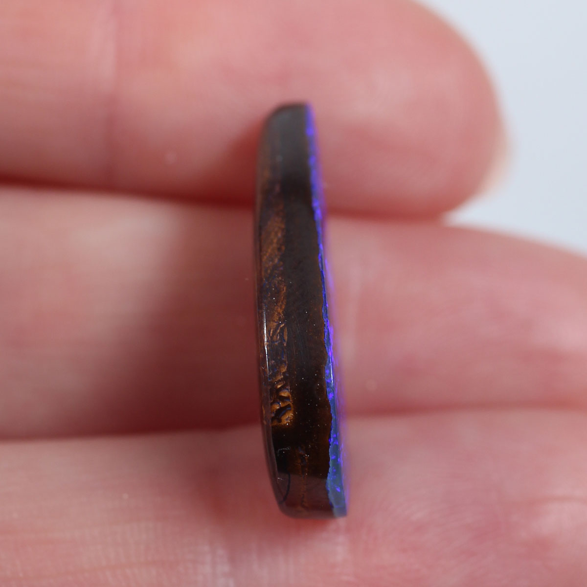 12.5 ct Boulder Opal - 12 x 24 x 4.5mm