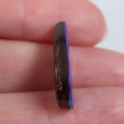 12.5 ct Boulder Opal - 12 x 24 x 4.5mm