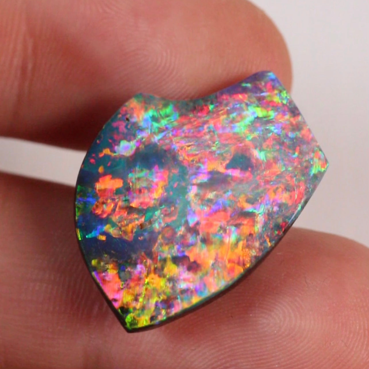 22.76ct Investment Boulder Opal - 18.7 x 26.4 x 6.9mm