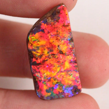 21.10ct Investment Boulder Opal - 14.3 x 30.5 x 5.8mm