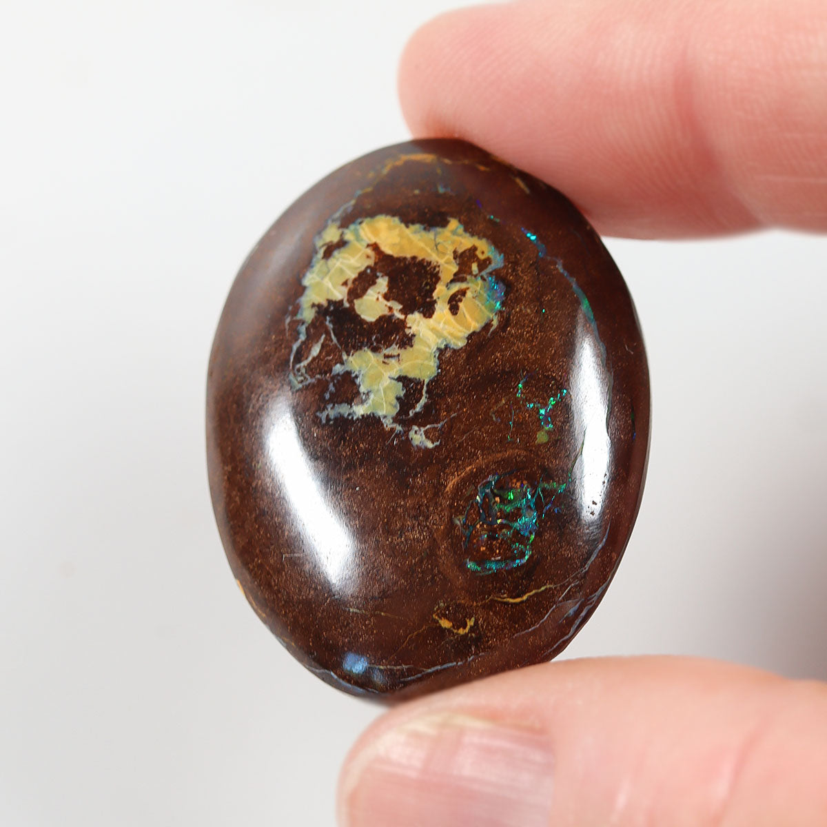 48.82ct Australian boulder matrix cabochon with blue boulder matrix