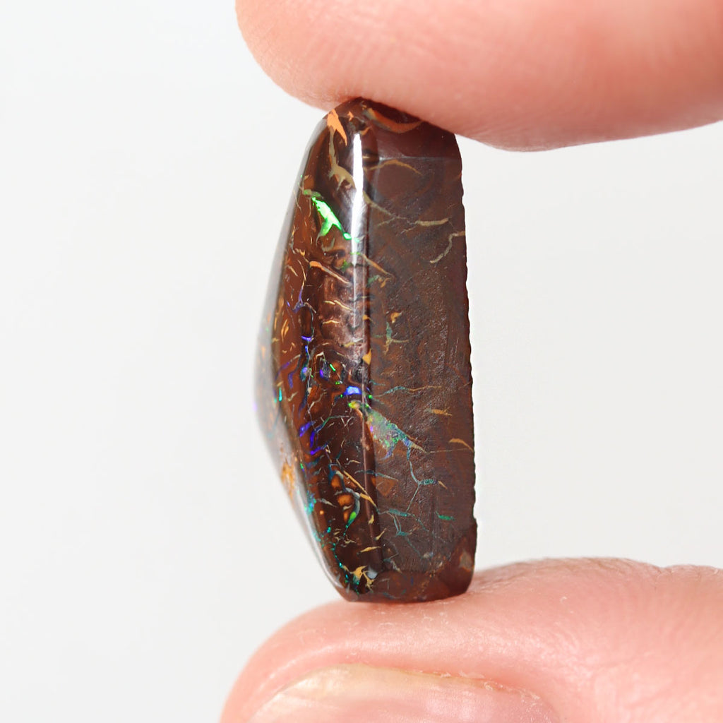 Boulder matrix from Koroit held in hand to show scale