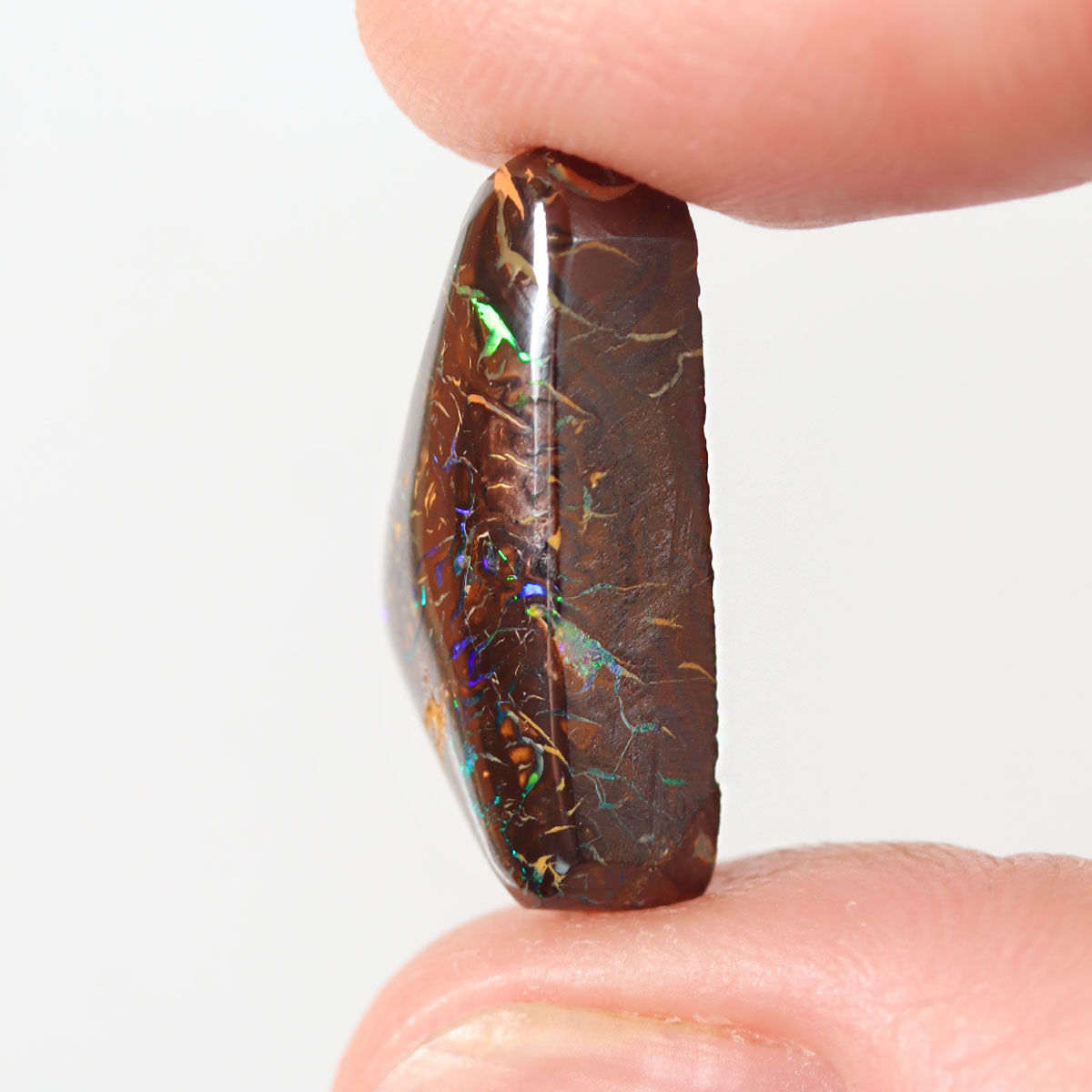 Boulder matrix from Koroit held in hand to show scale