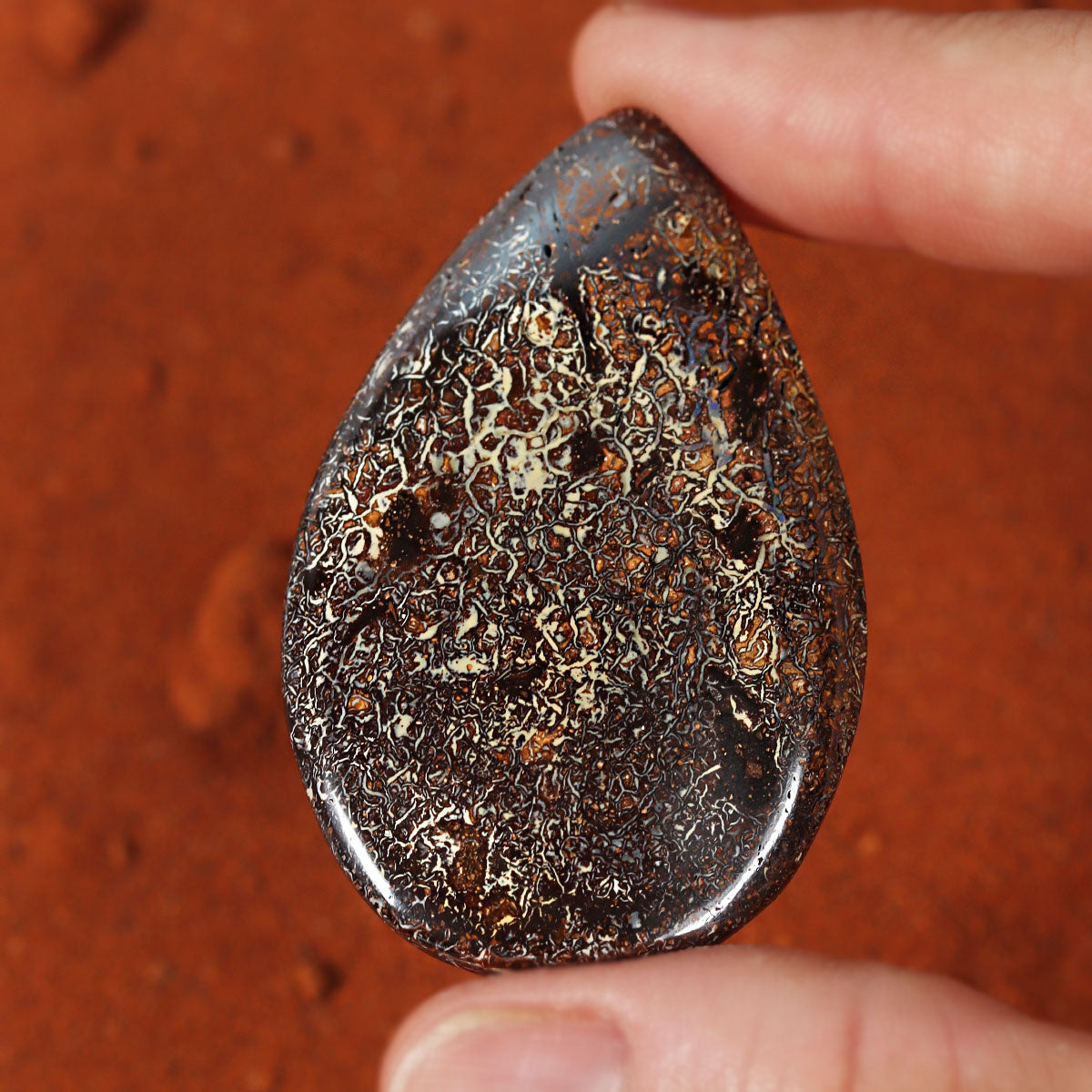 Boulder matrix from Koroit held in hand to show scale