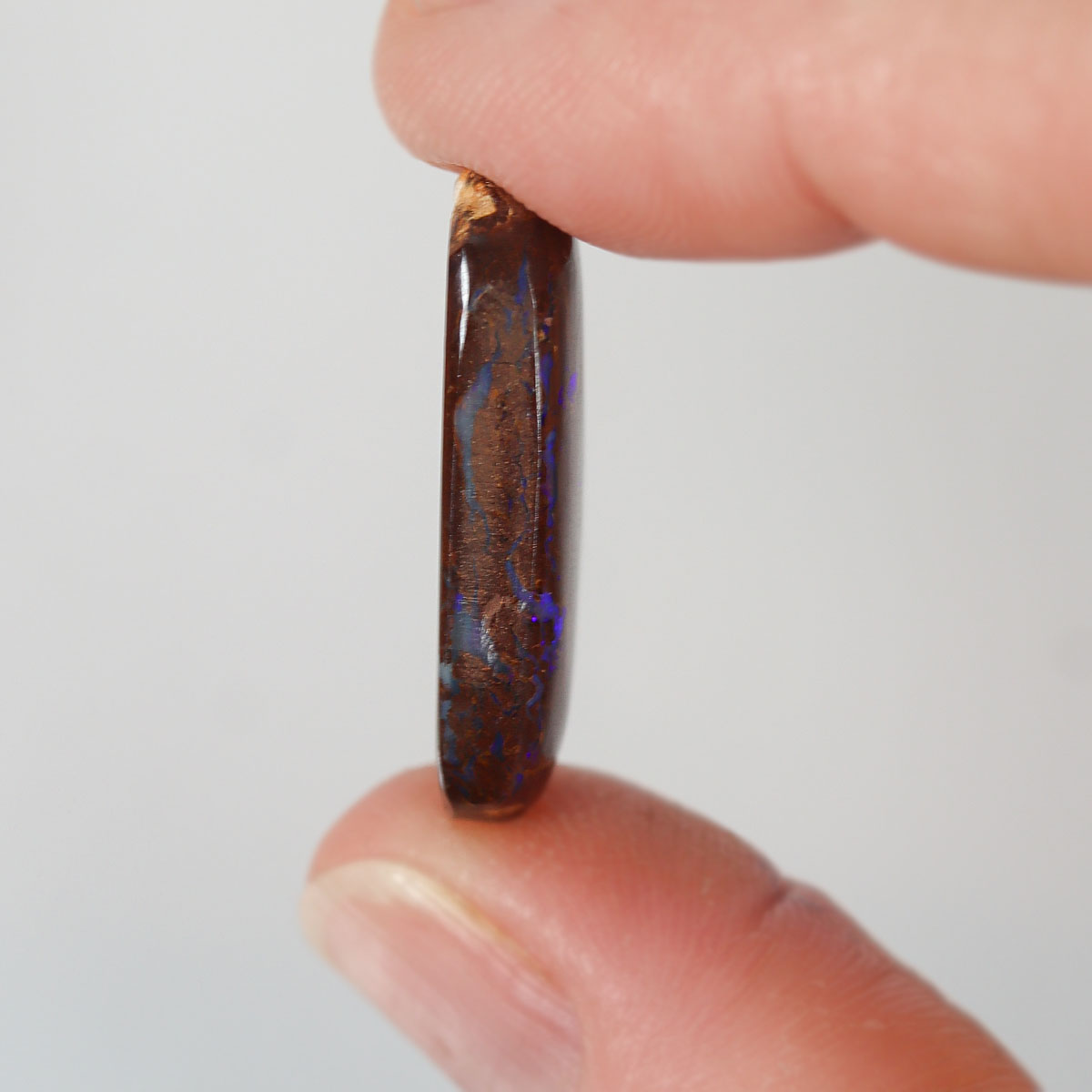 Boulder matrix from Opalton held in hand to show scale