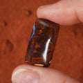 Natural boulder matrix from Koroit, 23.07ct with refined blue flash