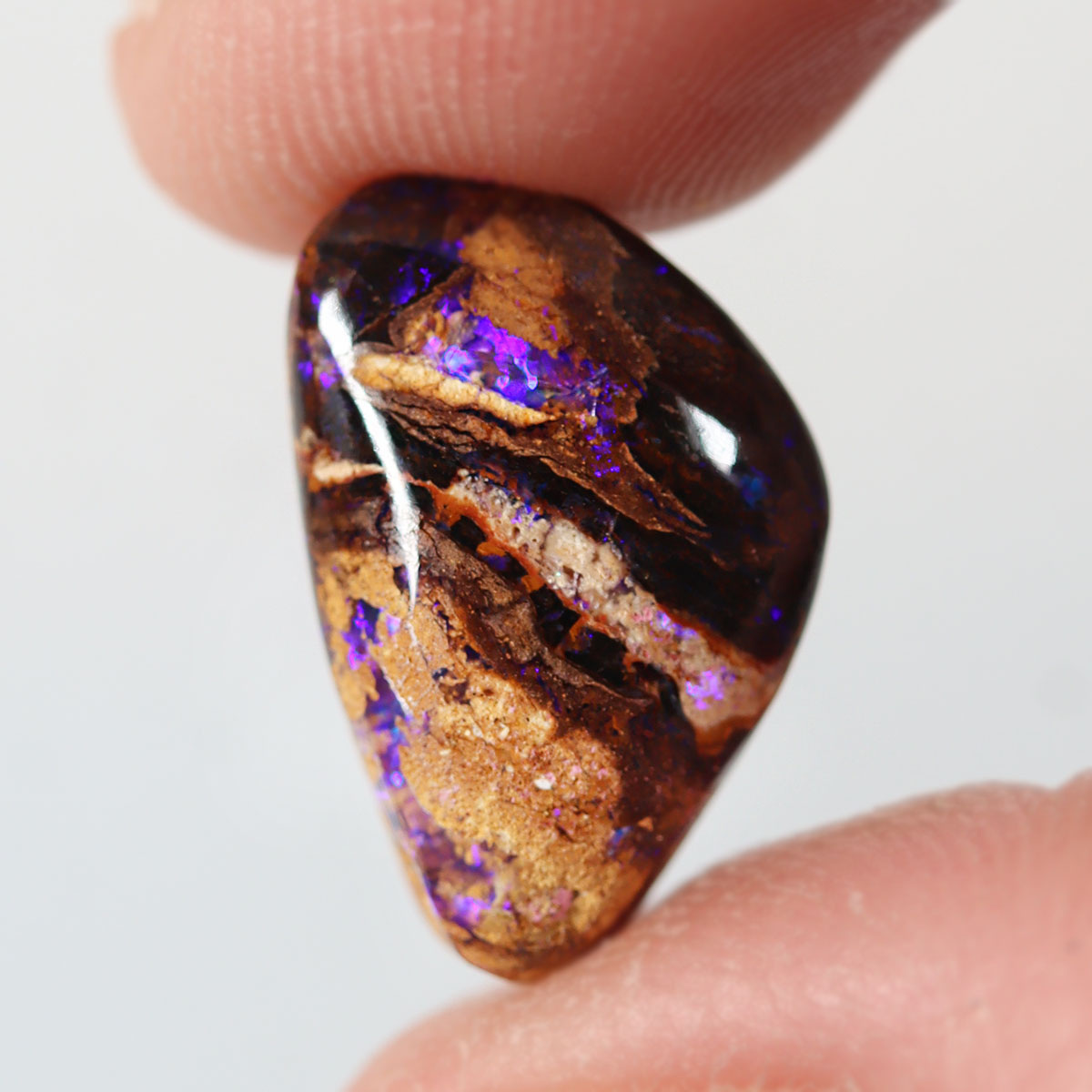 Opalton boulder matrix 6.49ct showing refined purple play-of-colour