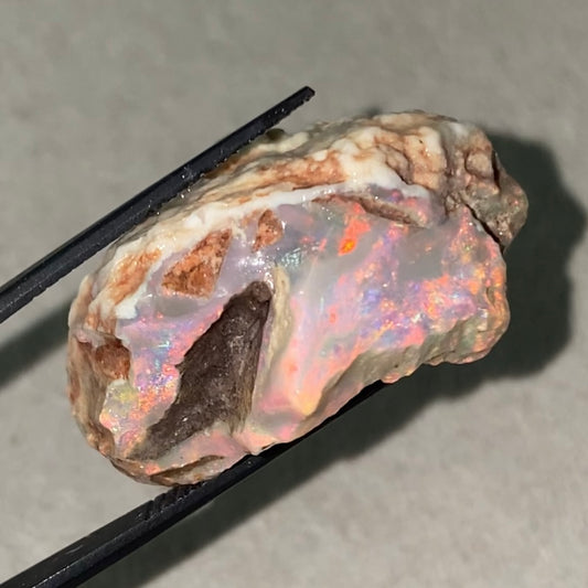 55ct Lightning Ridge Opal Rough