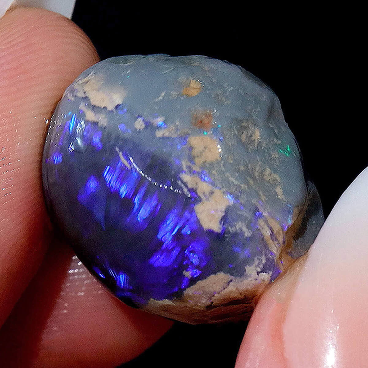 Rough sale black opal