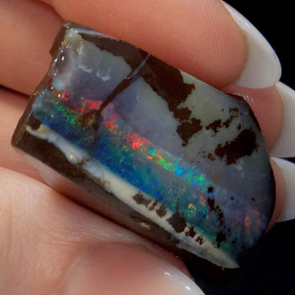 146.55ct Rough Boulder Opal