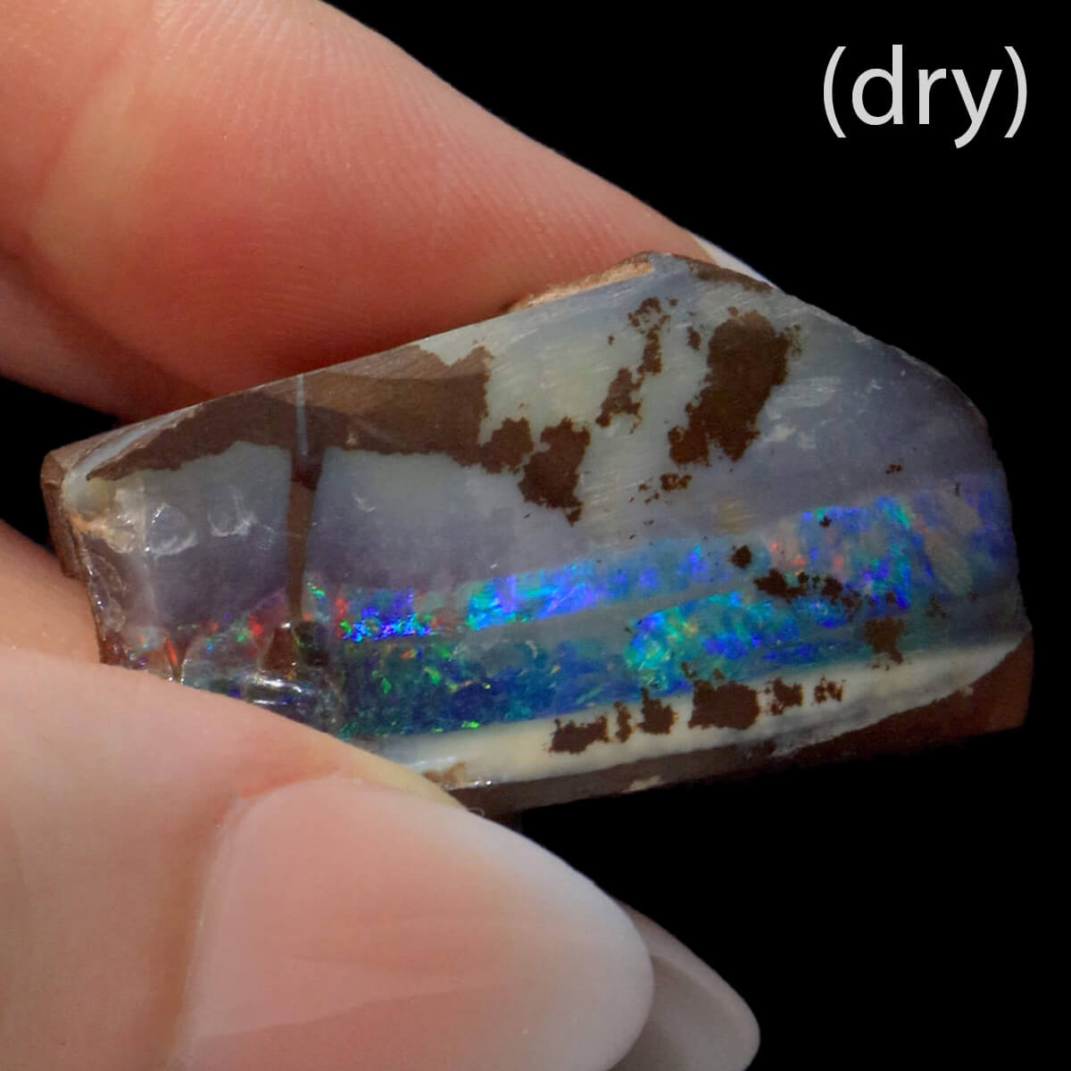 146.55ct Rough Boulder Opal