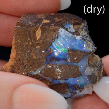 200.00ct Rough Boulder Opal