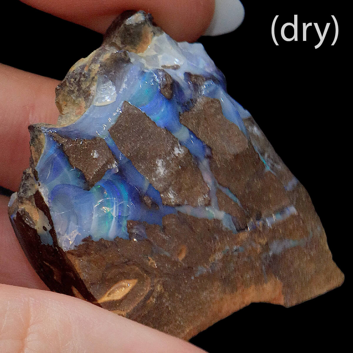 200.00ct Rough Boulder Opal