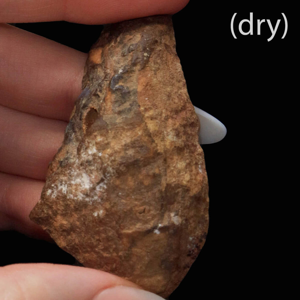 227.85ct Rough Boulder Opal