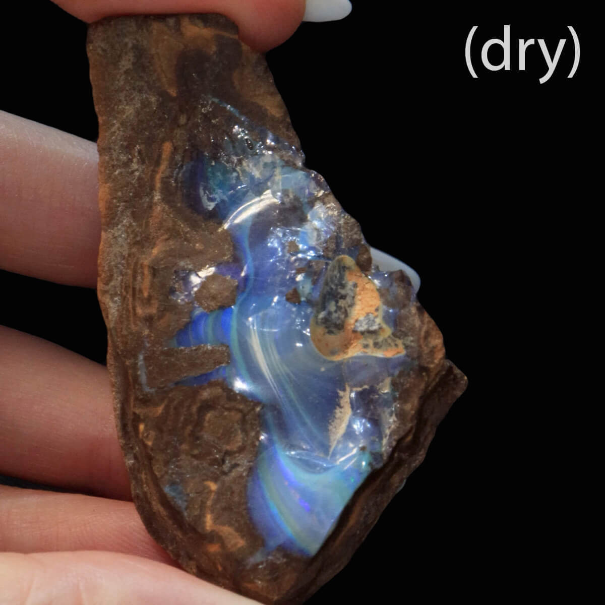 227.85ct Rough Boulder Opal