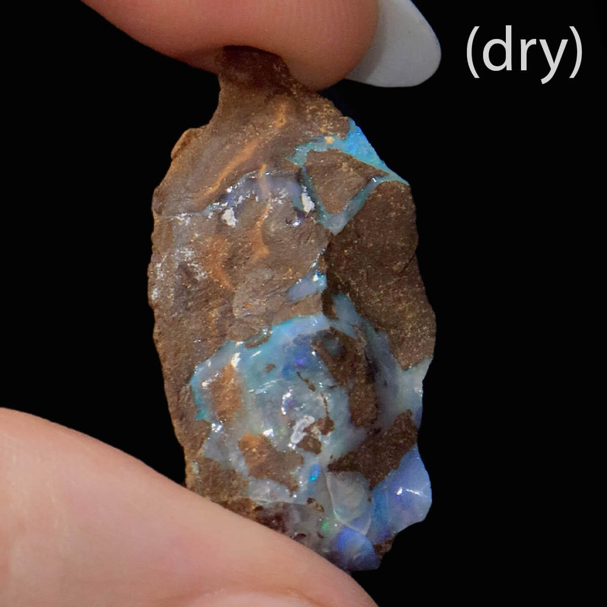 43.40ct Rough Boulder Opal