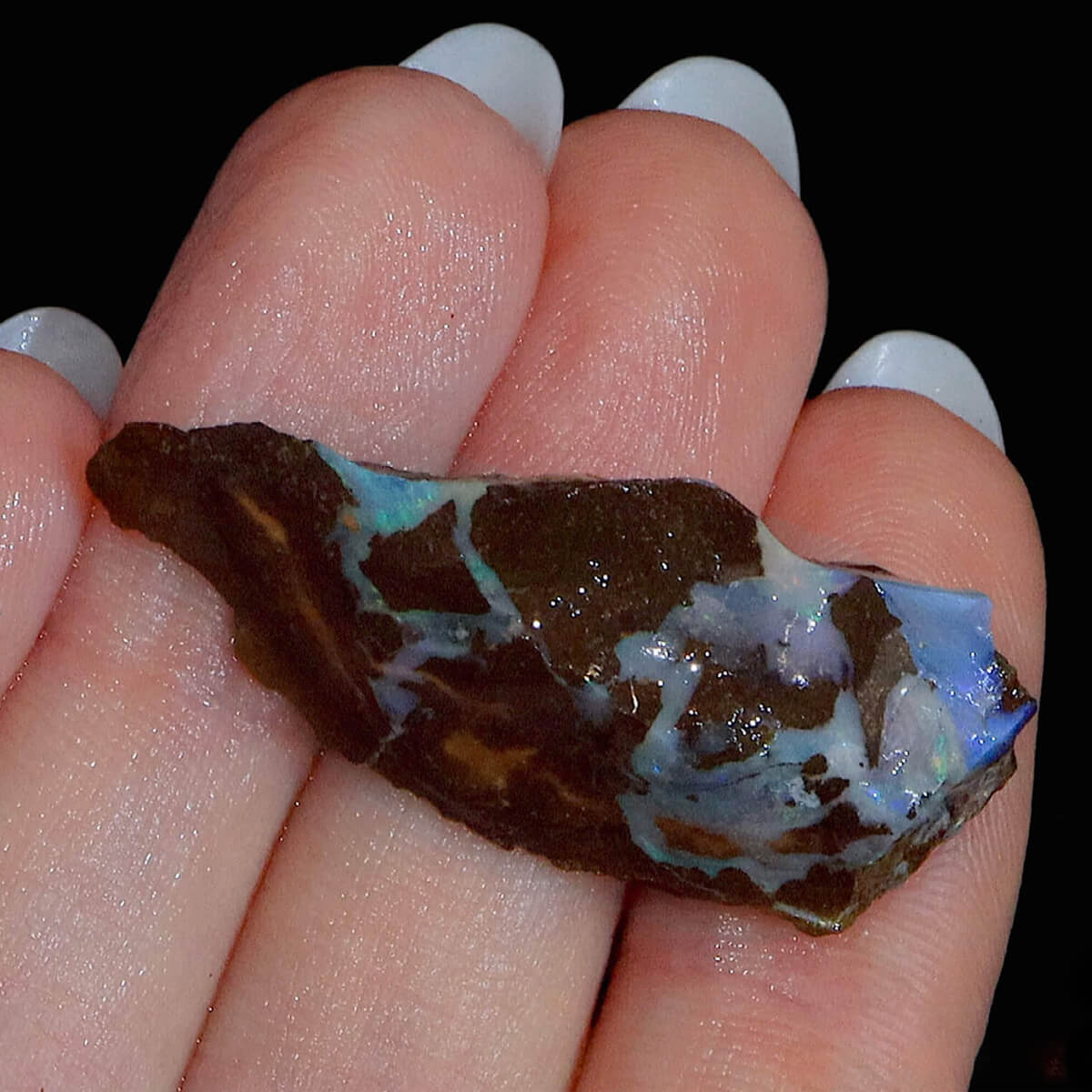 43.40ct Rough Boulder Opal