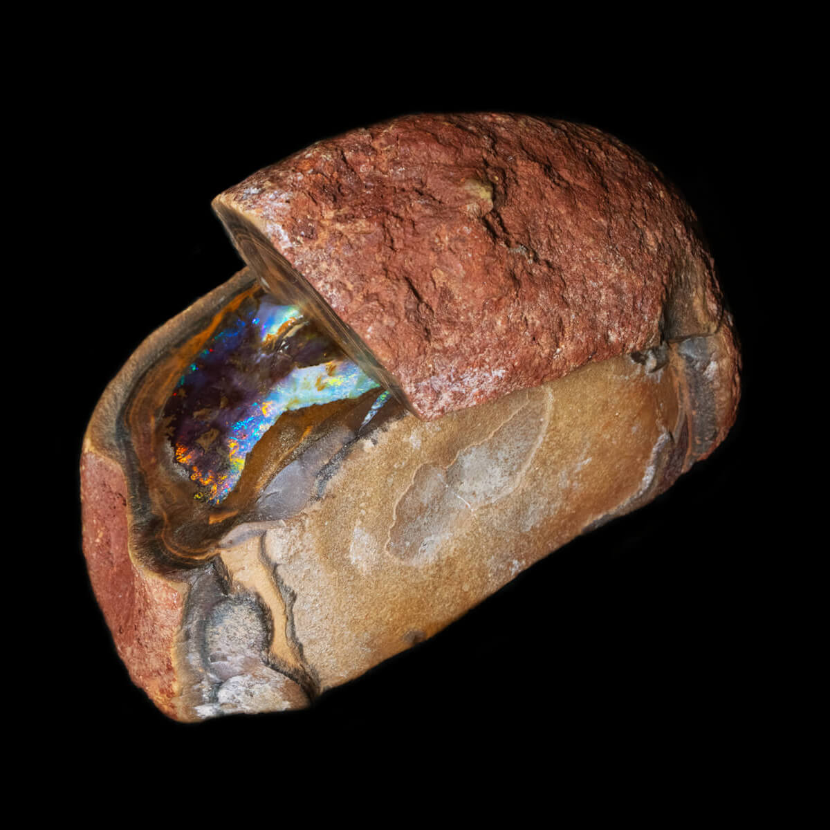 622.1ct Rough Boulder Opal Specimen