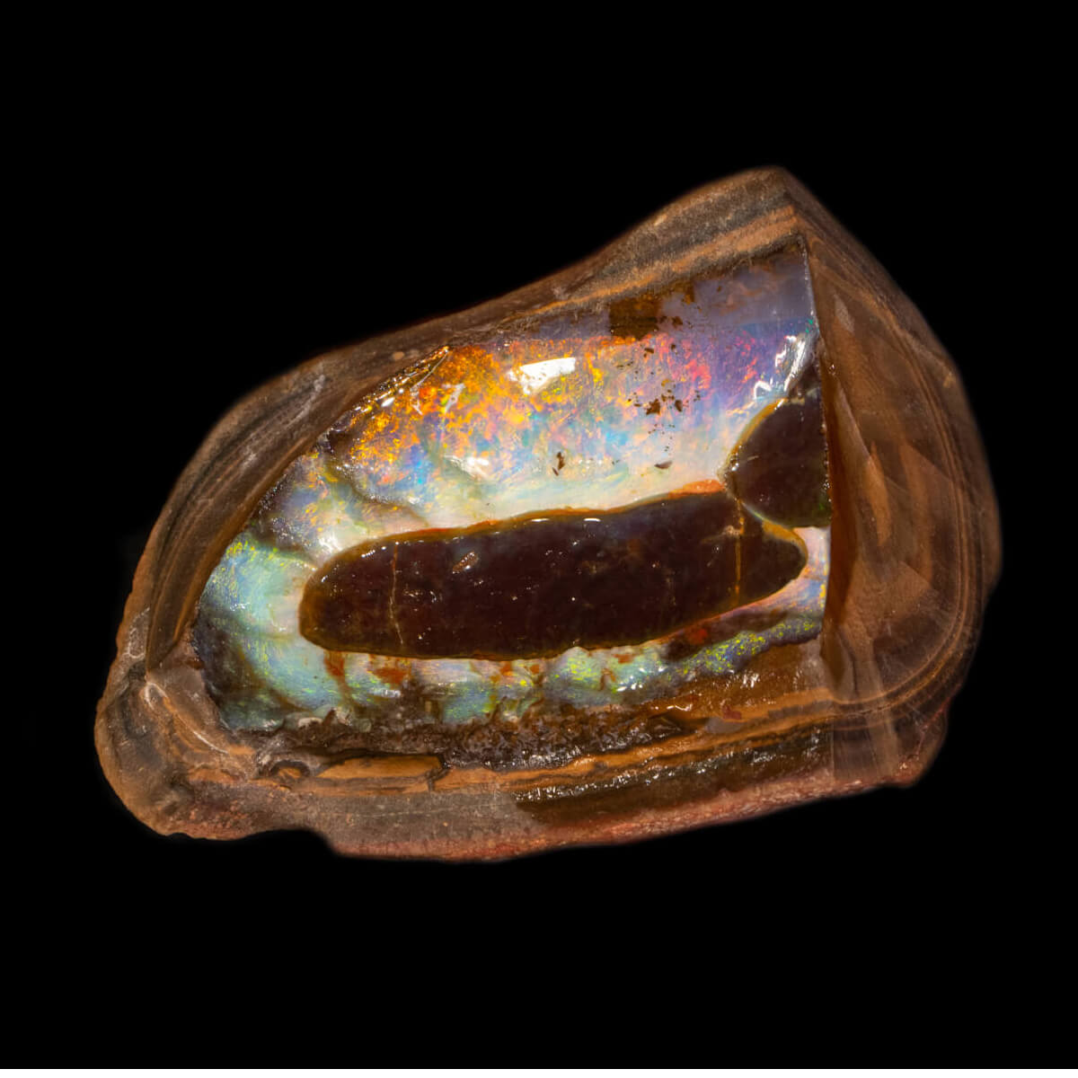 622.1ct Rough Boulder Opal Specimen