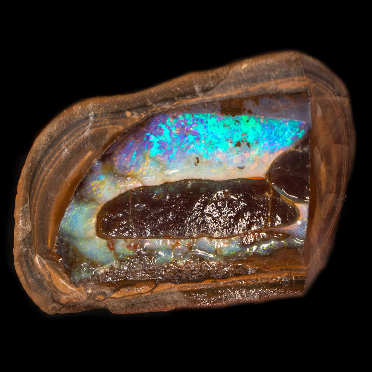 622.1ct Rough Boulder Opal Specimen