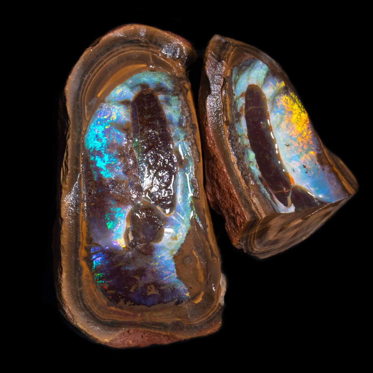 622.1ct Rough Boulder Opal Specimen