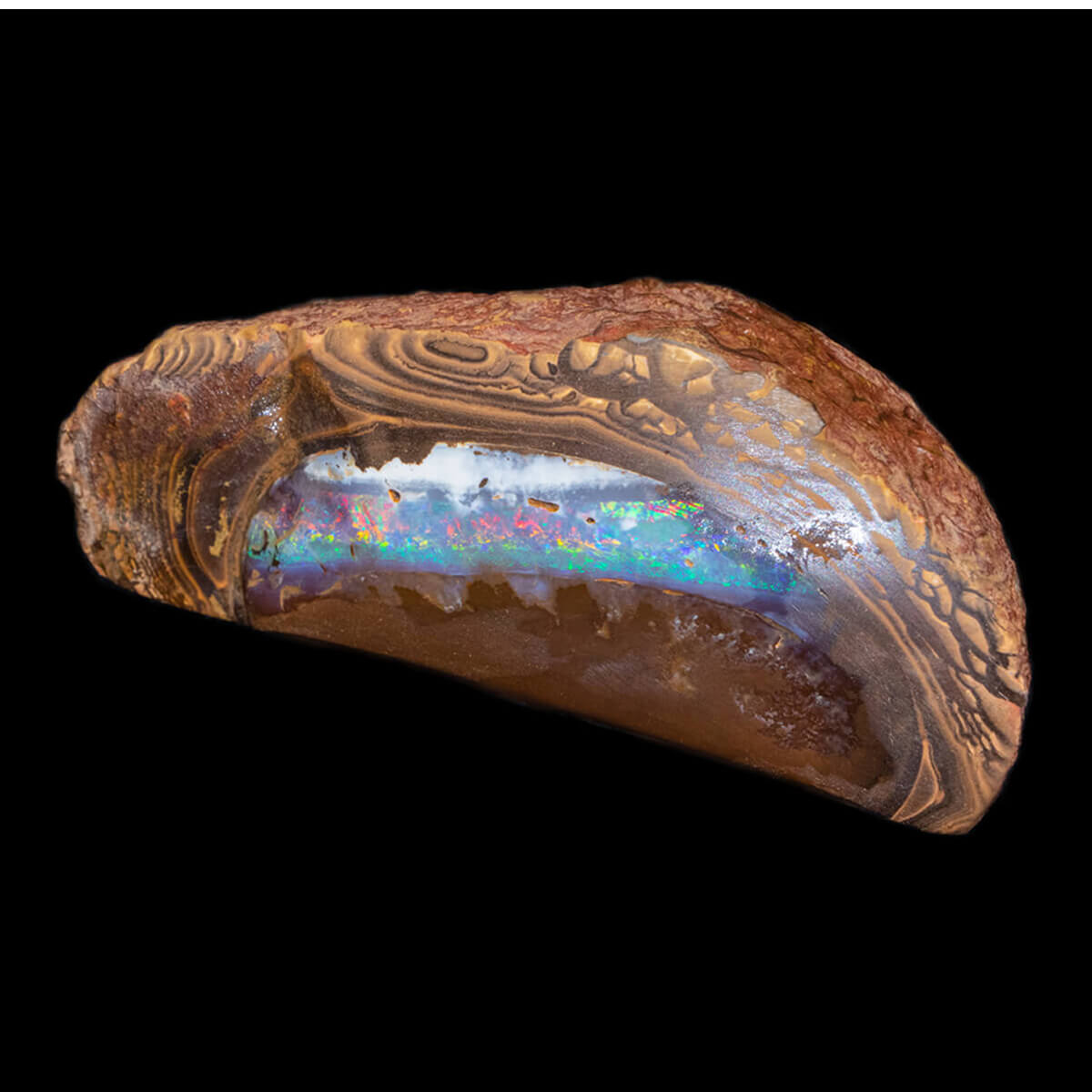 748ct Rough Boulder Opal