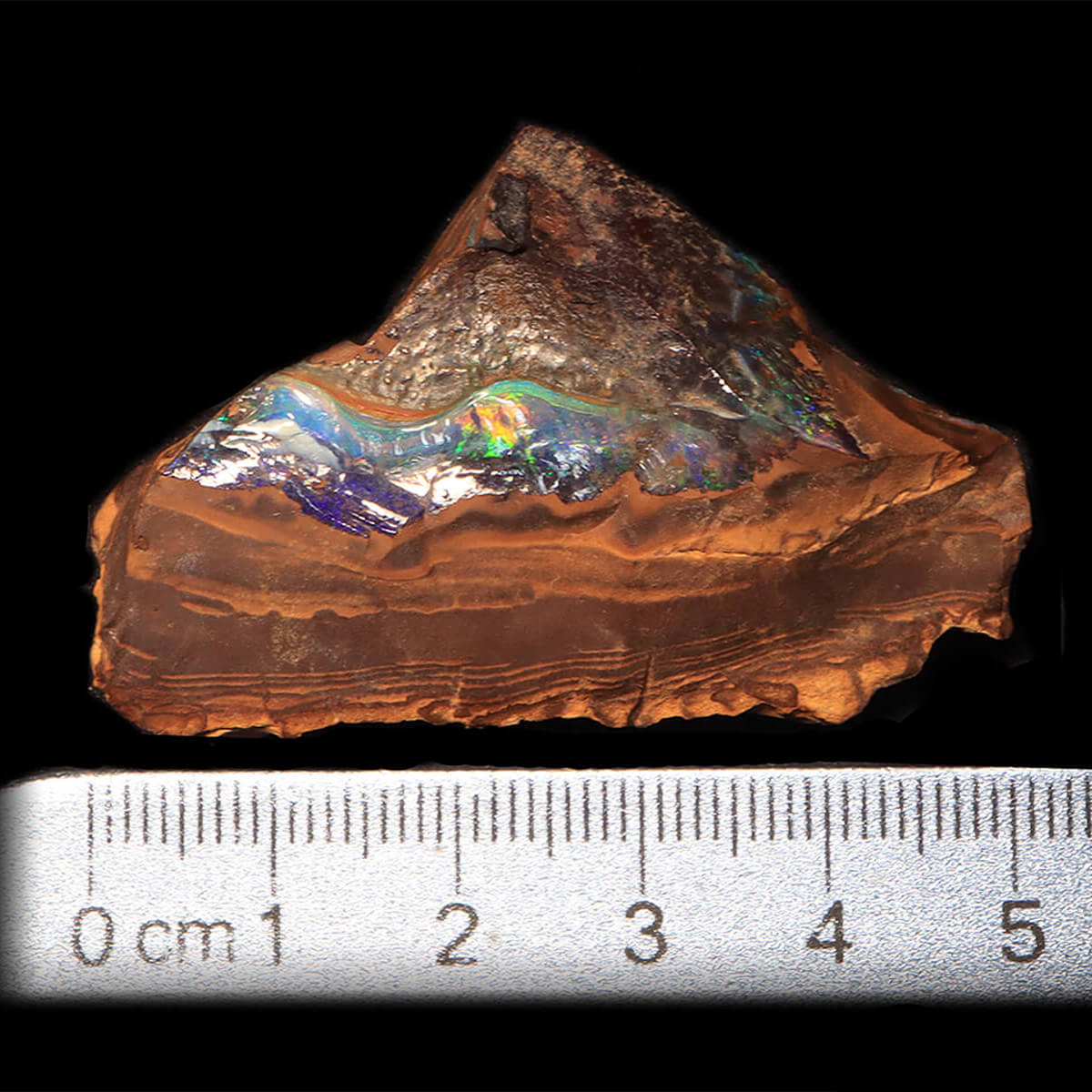 199.95ct Rough Boulder Opal