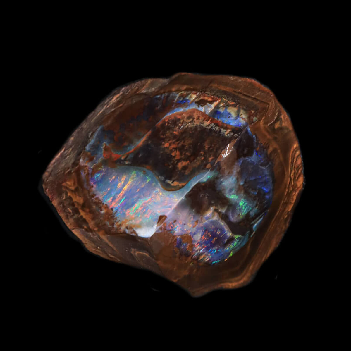 238.6ct Rough Boulder Opal