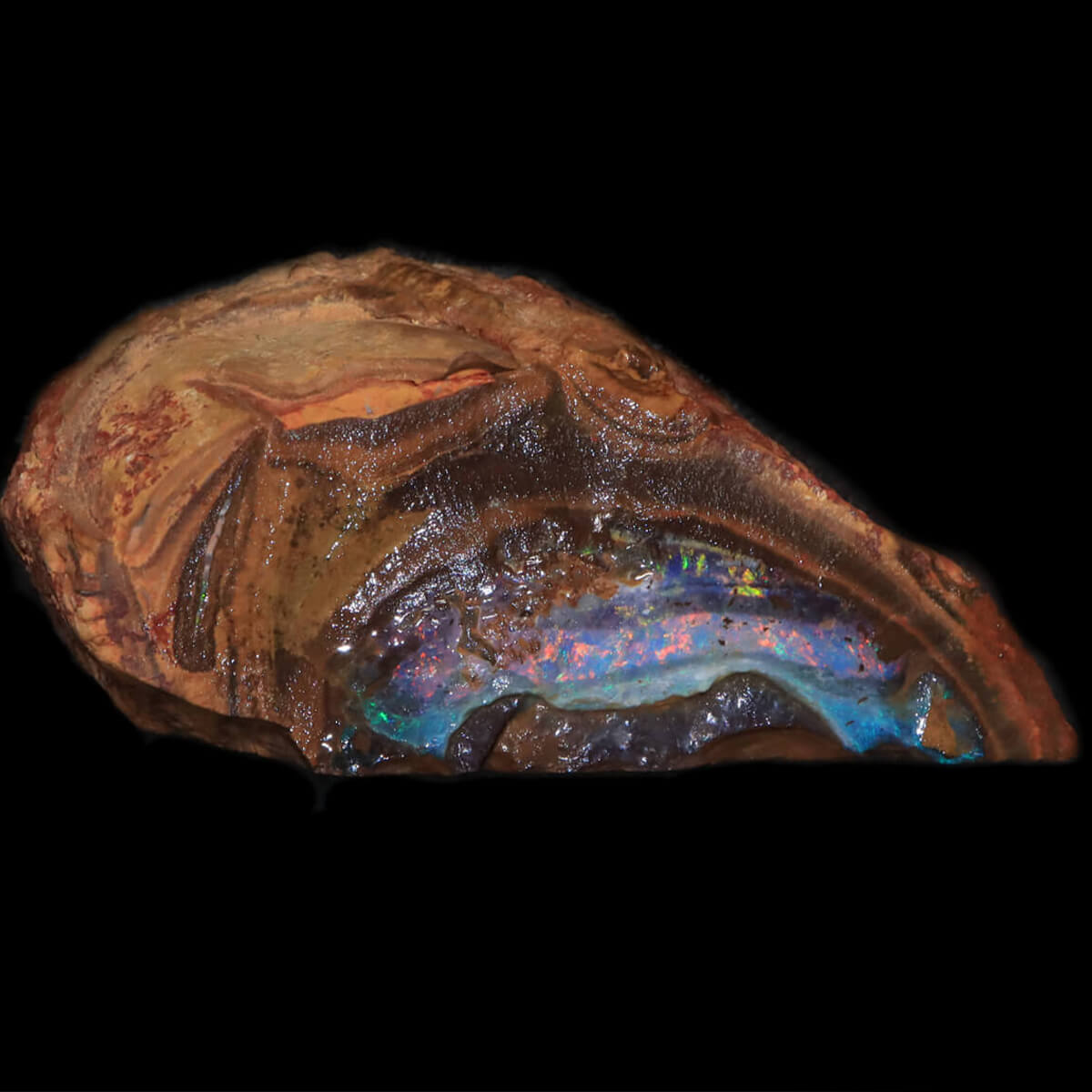 235.7ct Rough Boulder Opal