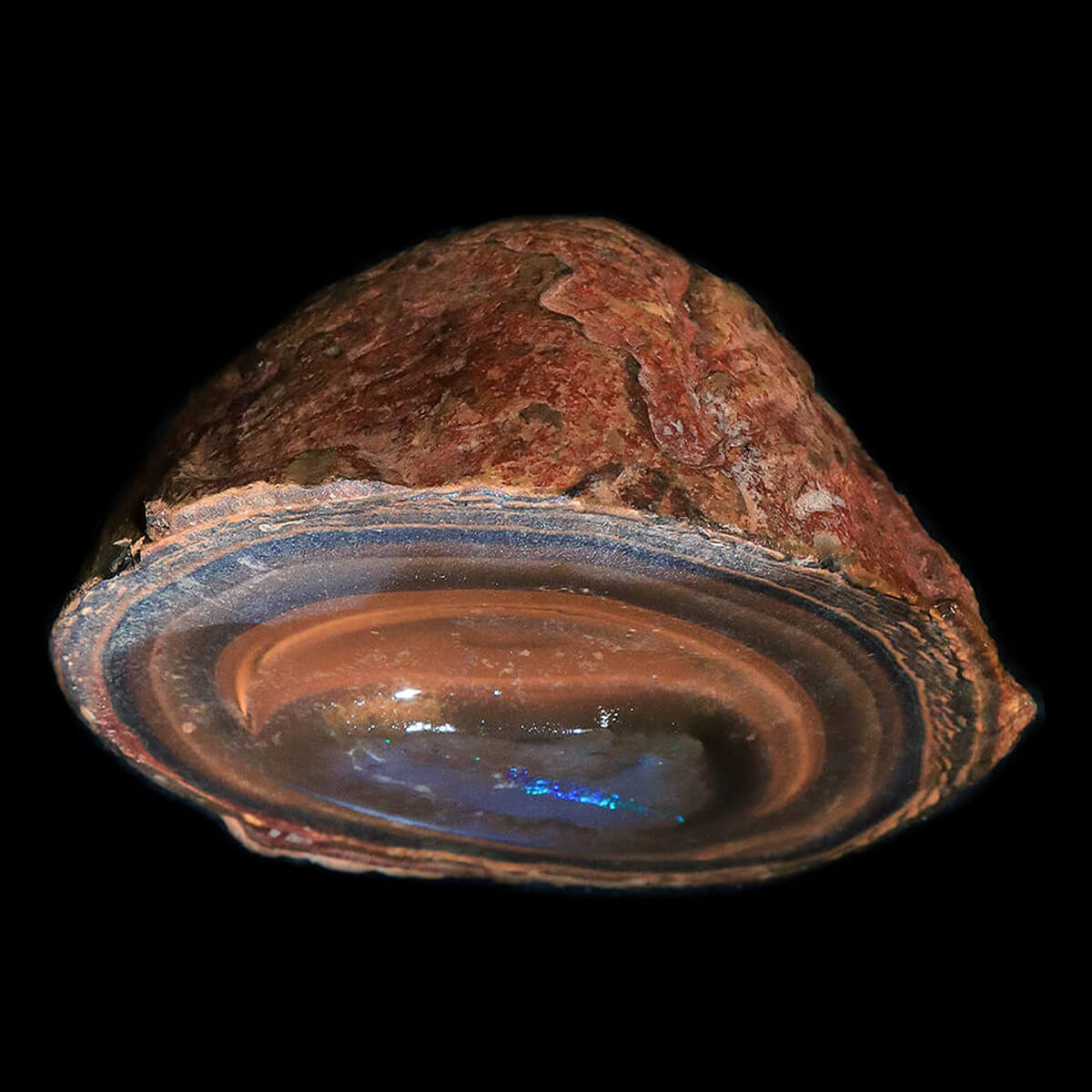 261.3ct Rough Boulder Opal