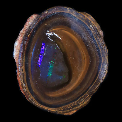 261.3ct Rough Boulder Opal