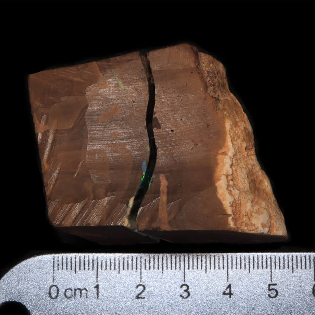 422.2ct Rough Boulder Opal Specimen