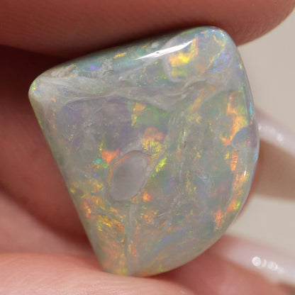 6.65ct Dark Opal - 13 x 14 x 5mm