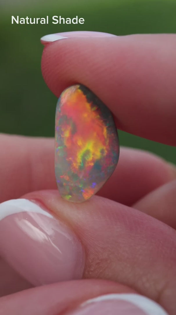 2.41ct Dark Opal  - 16 x 8.3 x 3.1mm