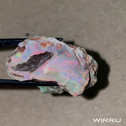 55ct Lightning Ridge Opal Rough