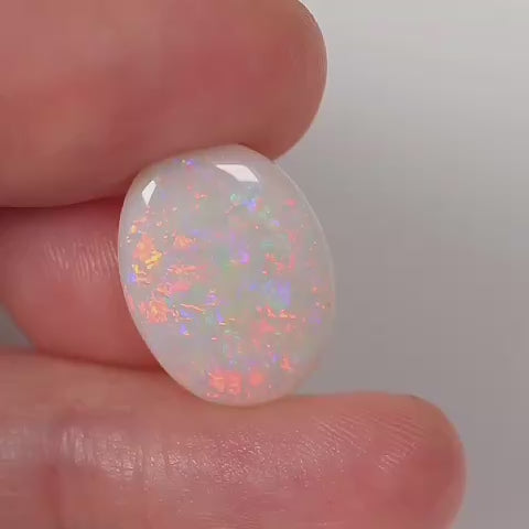 6.65ct Dark Opal - 18 x 13 x 4mm