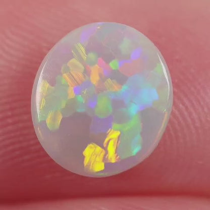 0.7 ct Dark Opal - 7.3 x 8 x 2mm