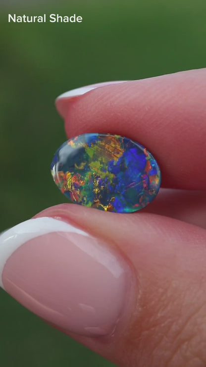 1.99ct Black Opal - 12 x 8.7 x 3mm