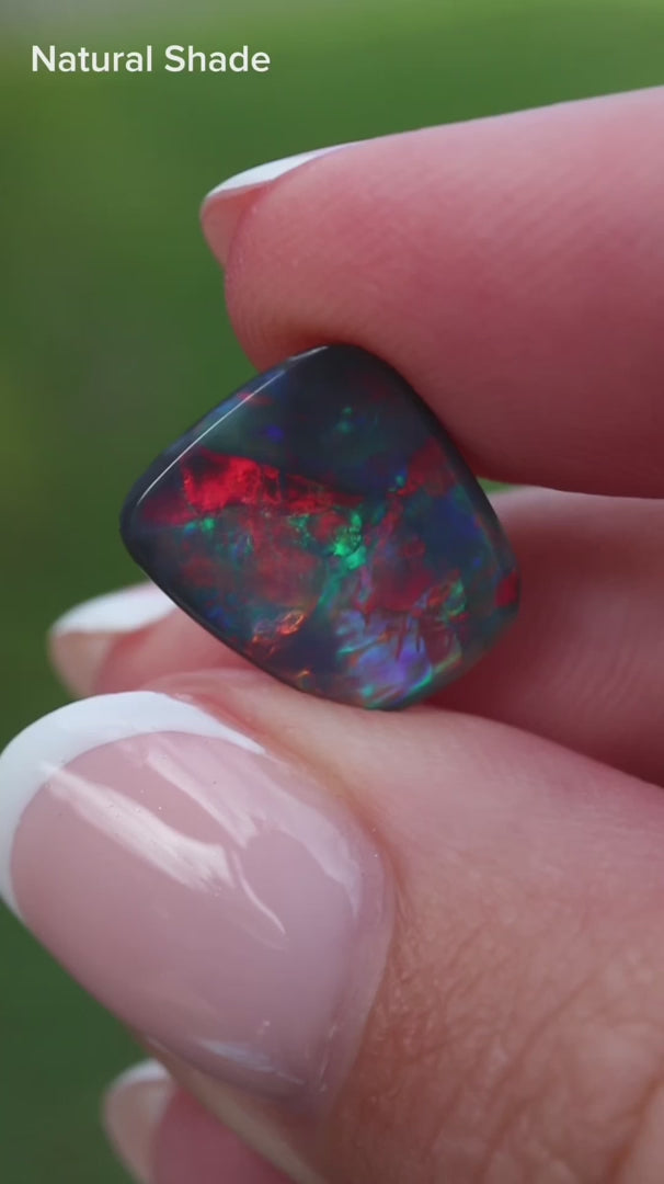 2.56ct Black Opal - 12.3 x 11.3 x 2.5mm